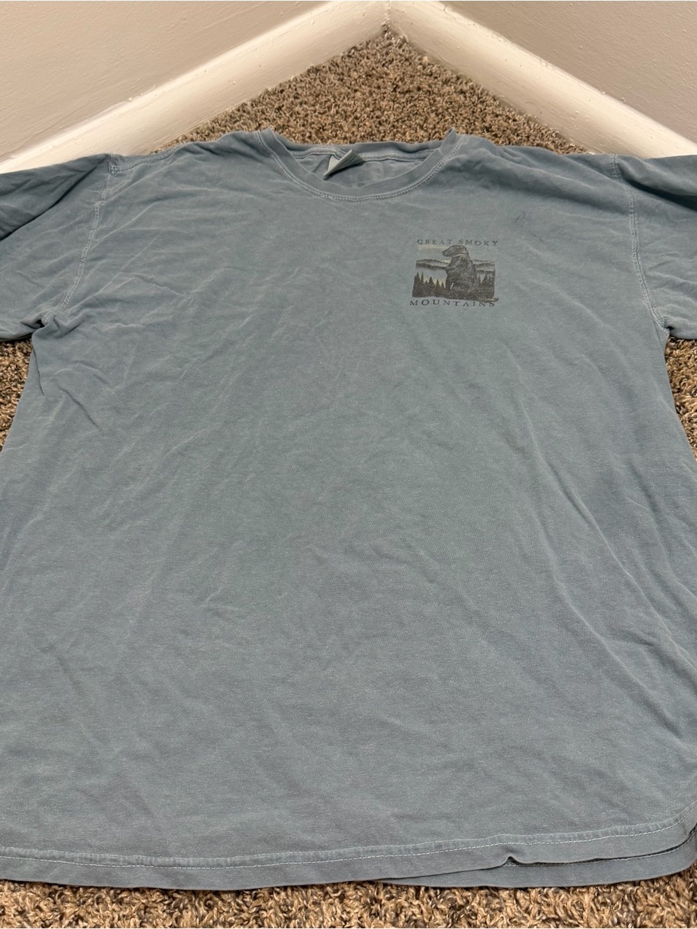 Comfort Colors Men's Light Blue Graphic Tee - Great Smoky Mountains
